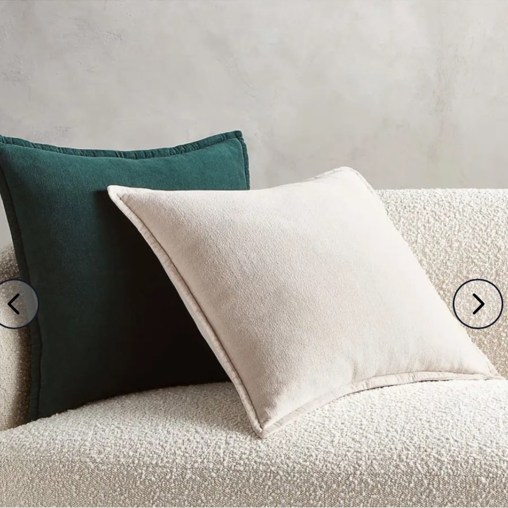 Pair of CB2 20x20 Nude Pillows